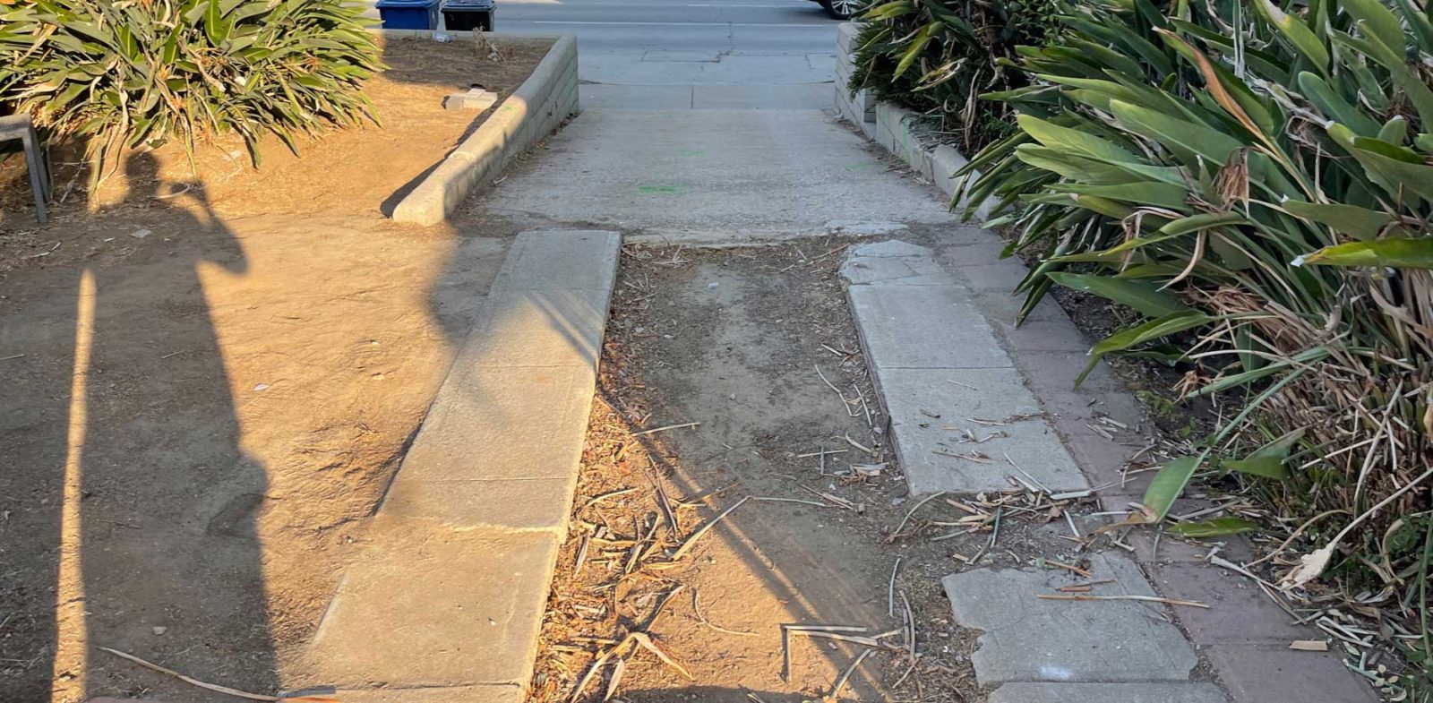 Driveway Before and After
